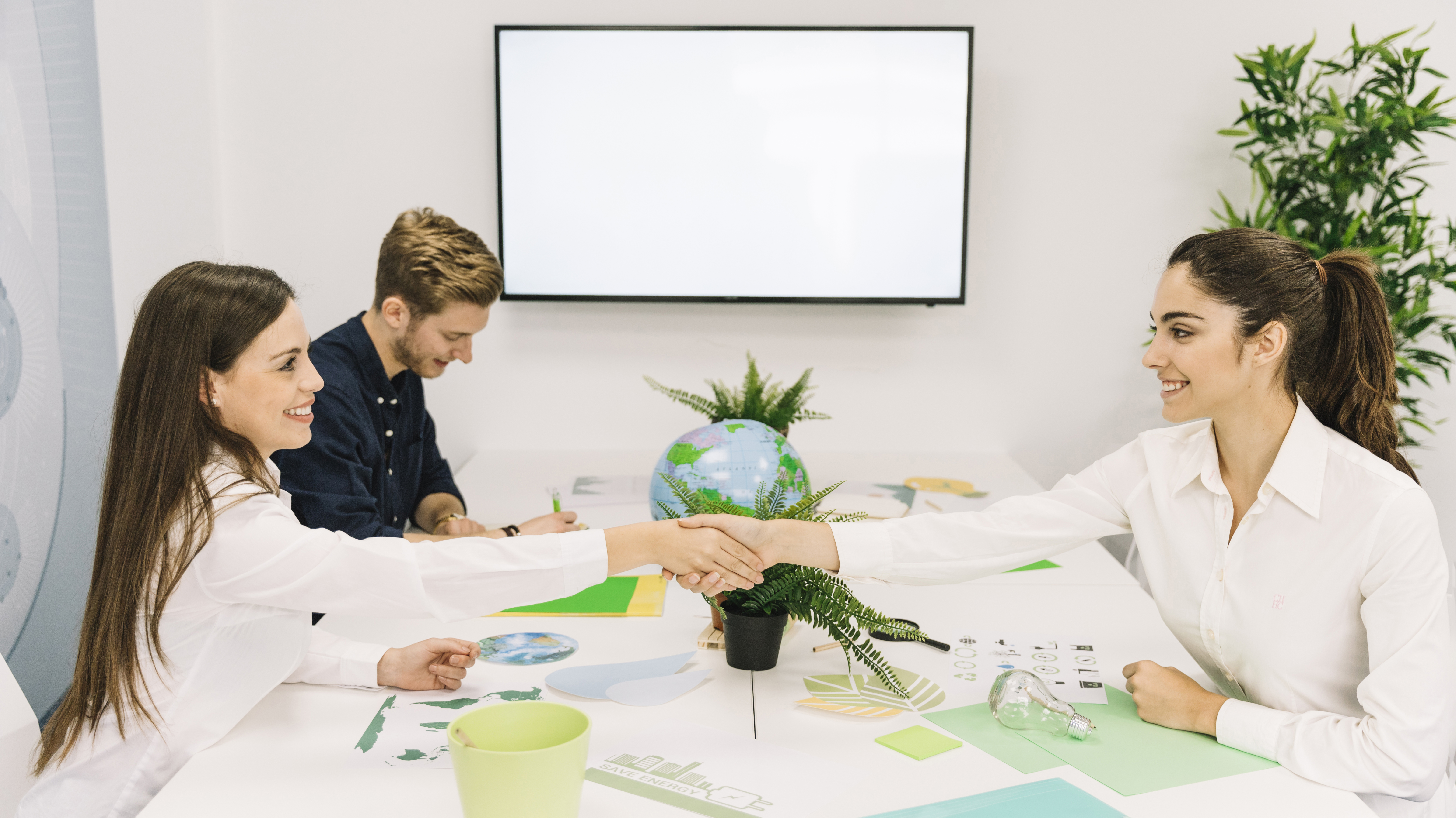Social Accounting Standards (SAS)